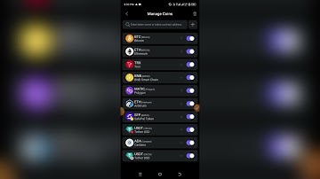 HOW TO ADD DOGS TOKEN TO SAFEPAL WALLET