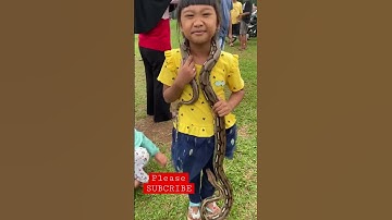 Detik detik anak kecil digigit ular