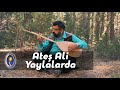 Ate ali  yaylalarda