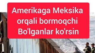 Amerikaga Meksika Orqali Bormoqchi Bo’lganlar Ko’rsin   #Amerika