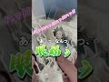 【開封】ヒロアカグッズ届いたのでハイテンションで紹介してく【オタ活】