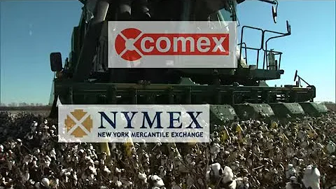 Agricultural Commodities: The Basics of Trading Futures and Options