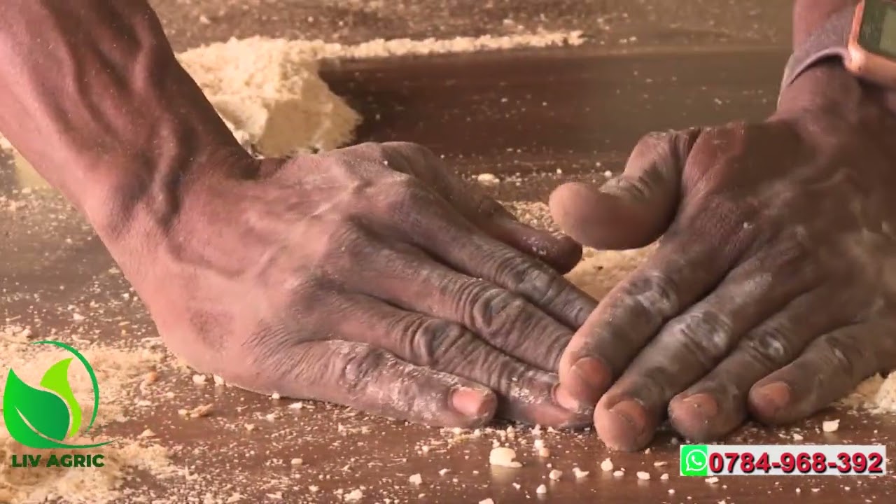 Entabula Y'emmere Yenkoko  (Practical Mixing) With Dr.Isa Luigare