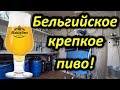 Варим бельгийское крепкое пиво. Результат никакой