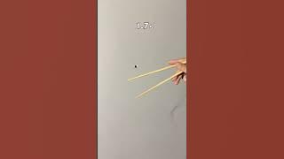 It works! #catloverlife #flyxo