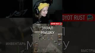СЕМЬЯ ЛУДИКОВ в РАСТ RUST  #rust #раст #кгые #twitch #стрим #stream #gaming #rustрейд #gambling
