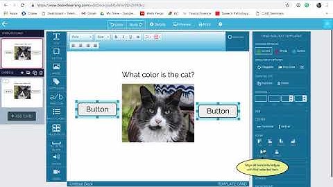 Adding text, draggable buttons & images on Boom Cards
