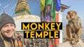 Monkey Temple from m.youtube.com