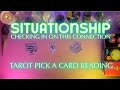 💭SITUATIONSHIP💘 WHERE IS THIS HEADING? CHECKING IN ON YOUR CONNECTION 🌟 TIMELESS TAROT READING