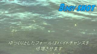 bungy shot movie fall
