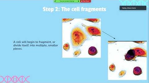 COM 114 explanation presentation: APOPTOSIS