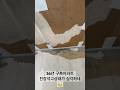 30년구축아파트 천장석고상태가 심각하네😓 #구축아파트인테리어 #반셀프인테리어 #올수리 #구축아파트 #인테리어 #벽지 #천장