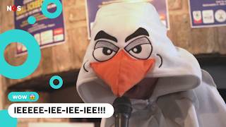 Zo Klinkt Het Ek Meeuwen - Schreeuwen