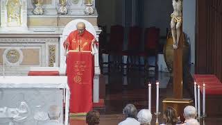 Celebrazione Della Santa Messa Dalla Parrocchia Di Velate