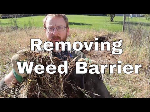 Video: Oude landschapsstof in tuinen verwijderen - wanneer moet ik landschapsstof verwijderen