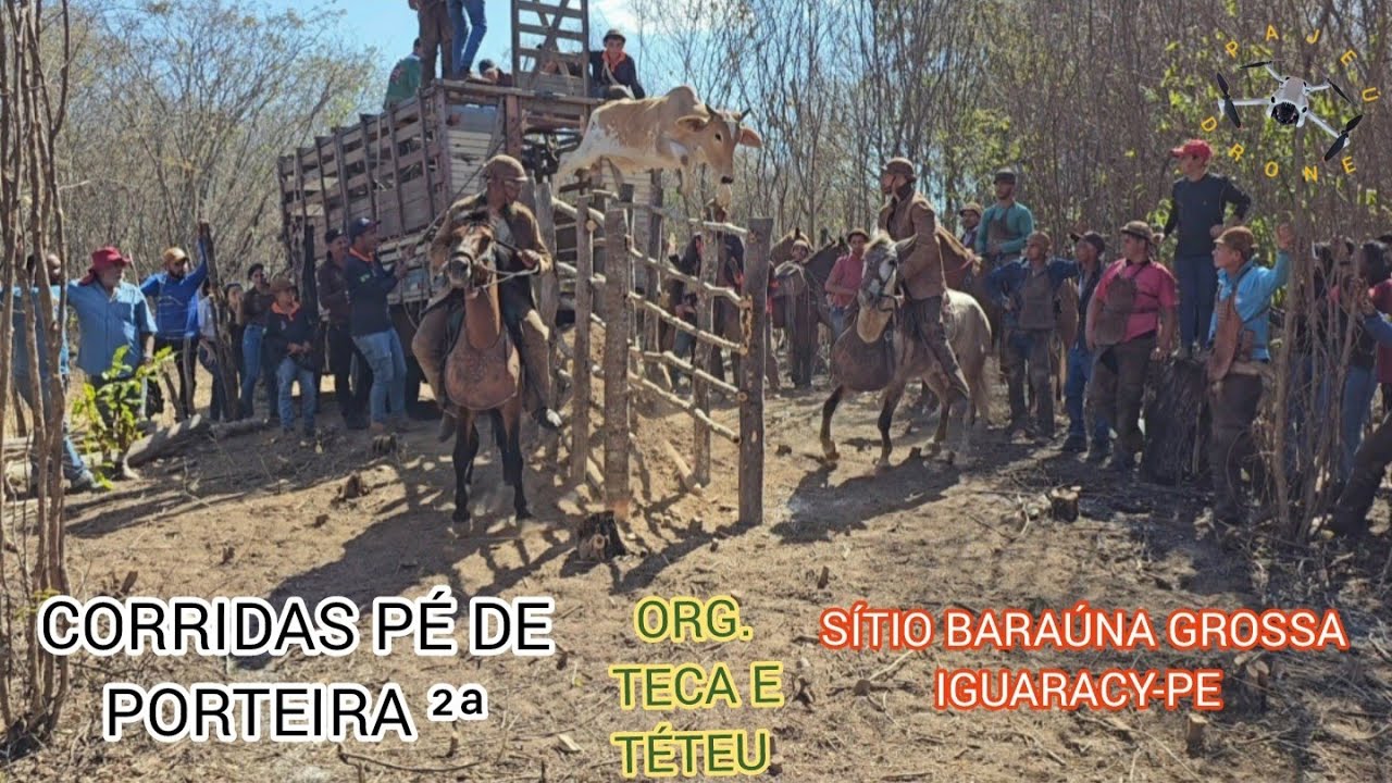 (DRONE) CORRIDAS PÉ DE PORTEIRA 2ª PARTE SÍTIO BARAÚNA GROSSA IGUARACY-PE ORG. TECA E TÉTEU