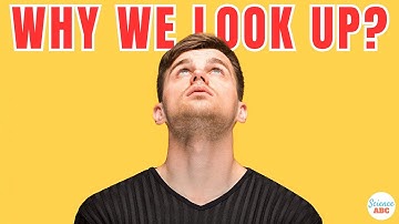 Why Do People Look Up When Thinking?