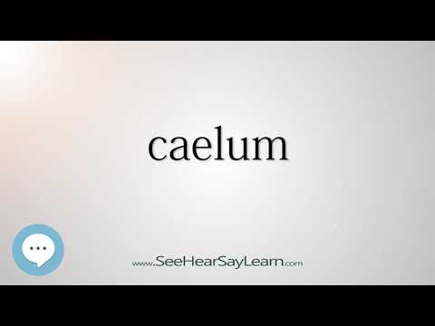 Video: Scrivi caelum?