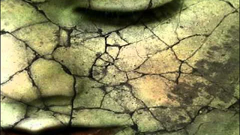 Tumi Kon Bhangner Pathe(English Translation) Rabindra Nath Tagore by Subhamita Banerjee