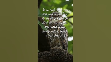 #سورة_البقرة #تلاوة_سورة_البقرة #راحة_نفسية #سورة_البقرة_كاملة #سورة_البقرة_كاملة #قراءه_سورة