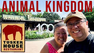 ANIMAL KINGDOM The Immersive Experience | Jambo House Resort & Tusker House Buffet