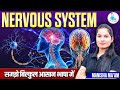 Nervous system in hindi  neuron types   sensory  motor neuron  structure and function