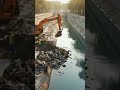 Title:5 Unreal Environmental Transformations | From Pollution to Perfection 🌍✨ #trending #animal