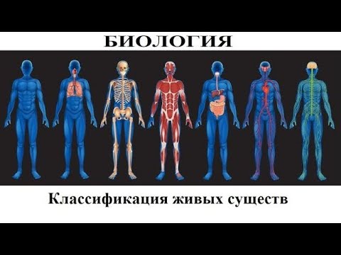Биология # 2. Классификация живых существ