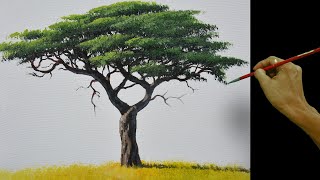 How to Paint Realistic Acacia Tree Easy |  Acrylic Painting Tutorial