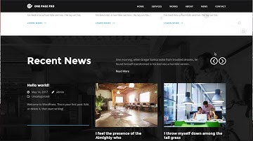 One Page Pro - Set up as demo site