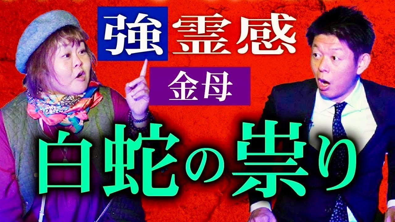 初【金母】強い霊感の持ち主 白蛇の祟り怪談 白蛇はめちゃくちゃ怖い『島田秀平のお怪談巡り』
