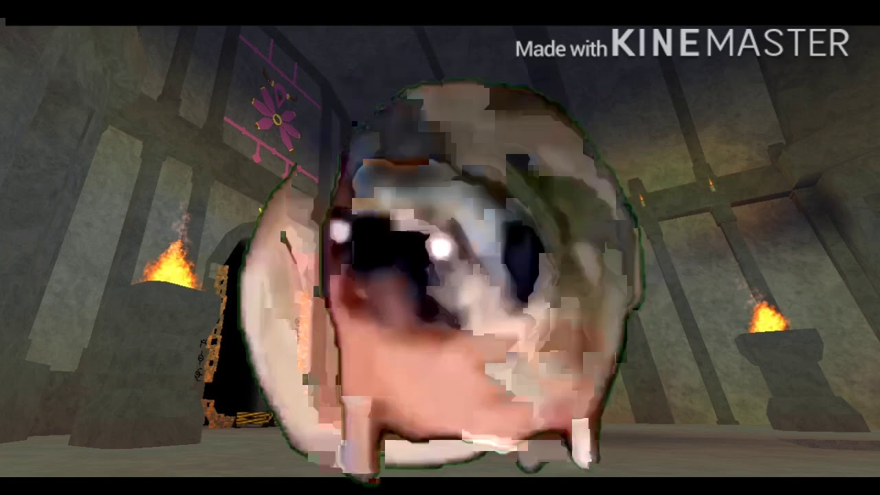 Vibing Pug Listening to Team Eclipse Cypress’s Theme