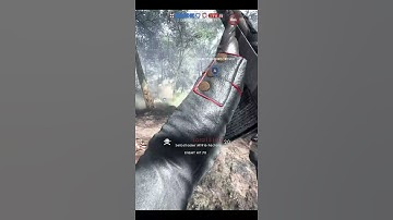 selbstlader m1916 factory be like#shorts#bf1