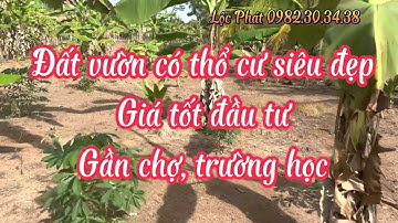 MS14 Đất ngộp mặt tiền đường nhựa có thổ cư gần cao tốc giá rẻ