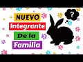 CONEJO COMO MASCOTA-Nuevo Integrante De La Familia!!!! #conejos #mascotas.