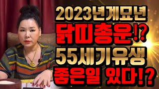 #무당#신점#무속인좋은 일 생긴다.2023년계묘년 닭띠 55세기유생운세 총운⁉️010 3433 3931