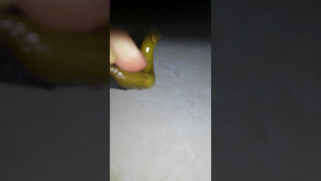 Acı biber neden acıdır Acı biber neden acıdır
