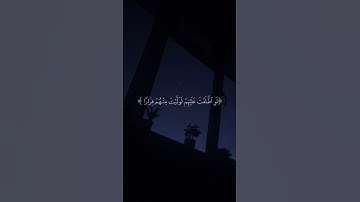 #quran #explore #قران #куран #اكسبلور #تلاوات_خاشعة #قران_كريم #تصاميم_قرآن #ماهر_المعيقلي