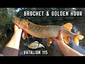 Encore un beau brochet au vatalion 115 f durant la golden hour 