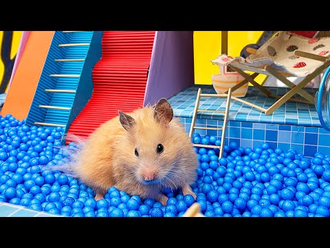 Hamster in Pool Maze | Playground for pets in real life