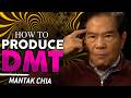 How to Produce Natural DMT — Exploring the Science of Endogenous Psychedelics - Mantak Chia
