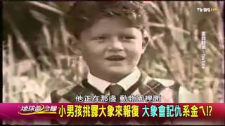 大象被村民用石頭擊斃 30象夷平整座村莊逆襲 地球黃金線 20151007 (8/8)