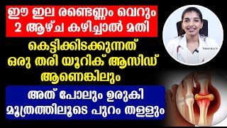 ഈ ഇല രണ്ടെണ്ണം കഴിച്ചാൽ ശരീരത്തിലെ യൂറിക് ആസിഡ് മുഴുവൻ മൂത്രത്തിലൂടെ പുറത്തു പോകും | uric acid