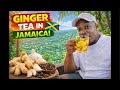Cloves & Ginger Tea 💪 Natural Energy Booster | 200x Stronger Than Viagra?