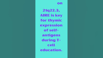 AIRE Autoimmune Regulator