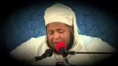 سورة الإخلاص _ القارئ الشيخ مسعود المقبالي