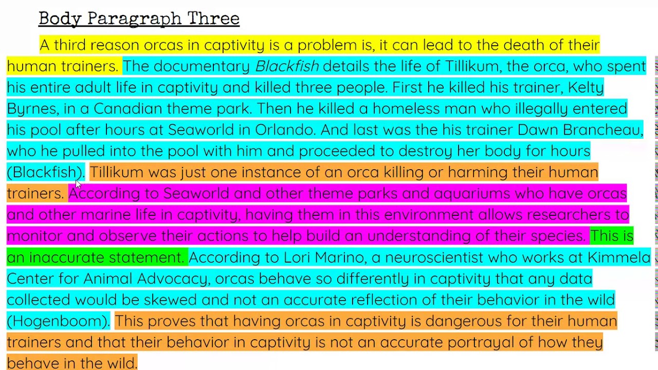 Elements of a body paragraph with a counter argument - YouTube