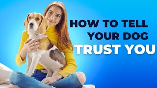 How To Tell Your Dog TRUST You by PetMastery 107 views 4 months ago 6 minutes, 14 seconds