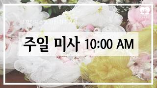 2026년 4월 12일  부활 제2주일 미사(하느님의 자비 주일)  오전 10시