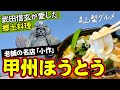 山梨Vlog：「ほうとう小作」ご当地グルメ！世界一ウマい“ほうとう”を食べる【飯テロ】